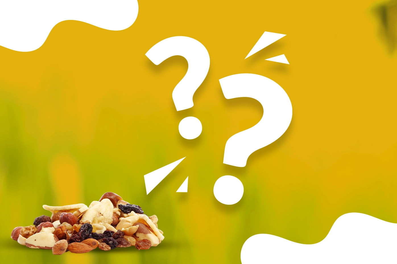 FAQs About Kwality Foods