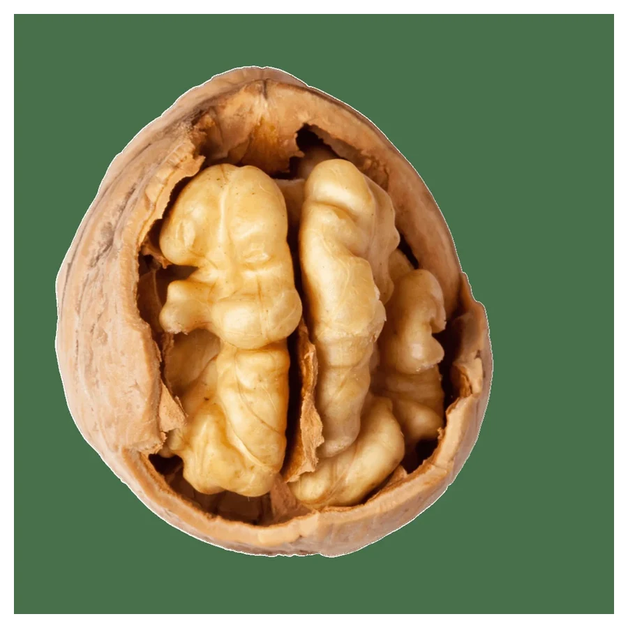 Walnut Kernels